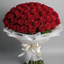Букет 101 Красная роза Блэк Мэджик в Залужном