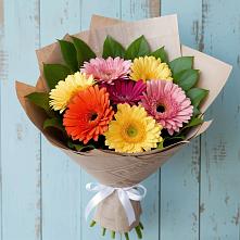 Букет цветов из:  Герберы в Залужном