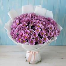 Букет цветов из:  Хризантемы #REPLACE_PRED# Залужном