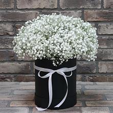 Цветочная композиция из Гипсофила в шляпной коробке в Залужном